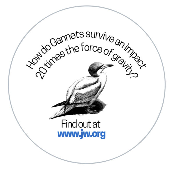 Bird ministry sticker pack, JW.org creation round labels, was it designed series? 6 designs