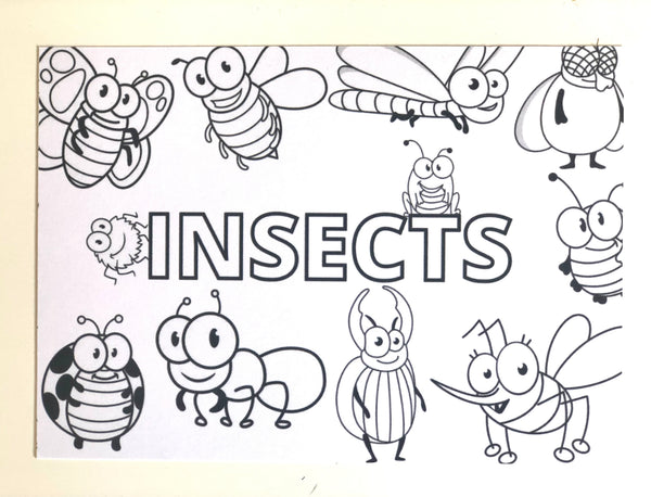 Children’s ministry ‘postcards’